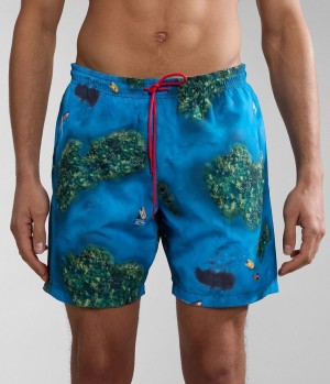 Slip de Bain Napapijri Inuvik Swimming Trunks Homme Multicolour | 0651PLWRE