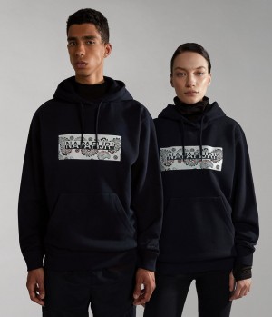 Sweat a Capuche Napapijri Andesite Hoodie Femme Noir | 5384CTGZR
