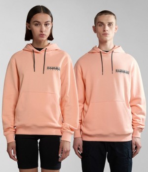 Sweat a Capuche Napapijri Boyd Hoodie Femme Rose | 1983WPKUV