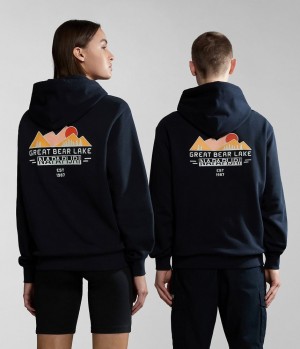 Sweat a Capuche Napapijri Boyd Hoodie Femme Noir | 4371QJKAT
