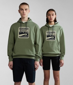 Sweat a Capuche Napapijri Boyd Hoodie Femme Vert | 4651XMOZS