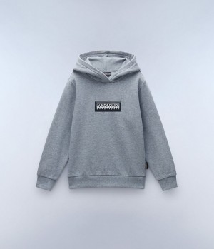 Sweat a Capuche Napapijri Chamois Hoodie (4-16 YEARS) Enfant Grise | 9078GUNKD