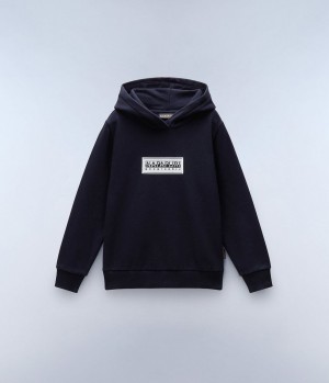 Sweat a Capuche Napapijri Chamois Hoodie (4-16 YEARS) Enfant Bleu Foncé | 9342FXJHC