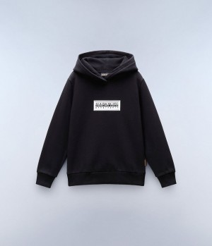 Sweat a Capuche Napapijri Chamois Hoodie (4-16 YEARS) Enfant Noir | 2871CFEGY