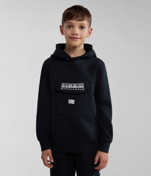 Sweat a Capuche Napapijri Cree Hoodie (4-16 YEARS) Enfant Noir | 3402OYCKQ