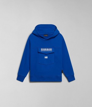 Sweat a Capuche Napapijri Cree Hoodie (4-16 YEARS) Enfant Bleu | 6382WAGUX