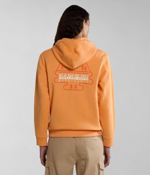 Sweat a Capuche Napapijri Faber Hoodie Femme Orange | 0935XLFGQ