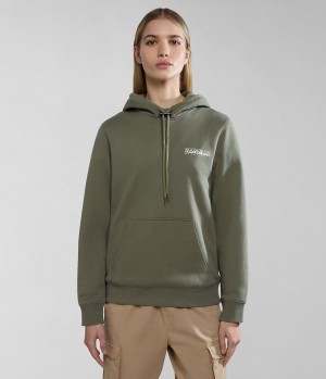 Sweat a Capuche Napapijri Faber Hoodie Femme Vert | 5427IQEWR