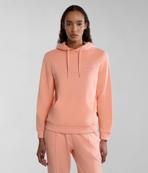 Sweat a Capuche Napapijri Iaato Summer Hoodie Femme Rose | 8591HXJEY