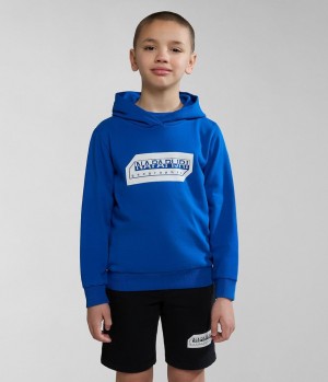 Sweat a Capuche Napapijri Kitik Hoodie (4-16 YEARS) Enfant Bleu | 1284XSQLN