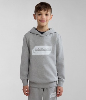 Sweat a Capuche Napapijri Kitik Hoodie (4-16 YEARS) Enfant Grise | 5739SDYLT